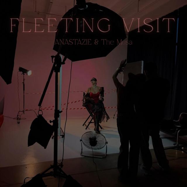 FLEETING VISIT